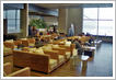 Vip Lounge Domodedovo
