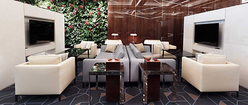 Vip Lounge Sheremetyevo C
